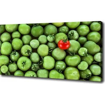 Obraz Foto obraz na plátně Zralé rajče