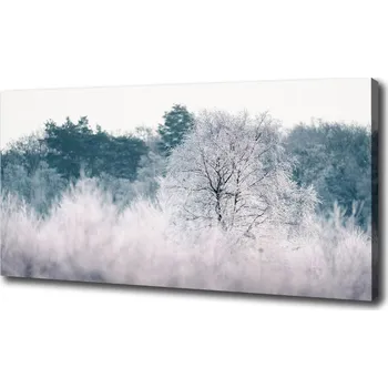 Obraz Foto obraz na plátně do obýváku Stromy zimou