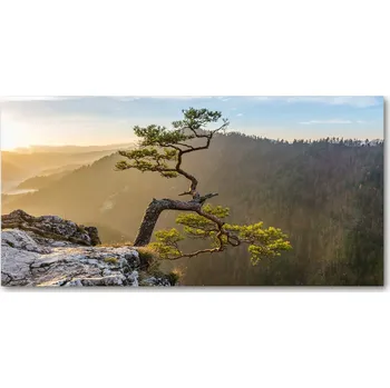 Obraz Foto obraz skleněný horizontální Sokolice Pieniny