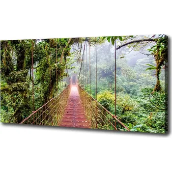 Obraz Foto obraz na plátně Most v pralese
