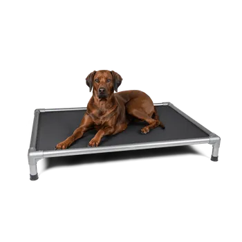 Pelíšek pro psa TrendPet Lehátko pro psa BedKing Velikost: XL - 125x90 cm