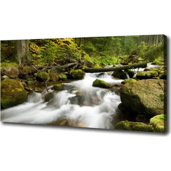 Obraz Foto obraz na plátně Olčiský potok