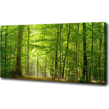 Obraz Foto obraz na plátně Listnatý strom