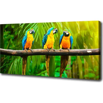 Obraz Moderní fotoobraz canvas na rámu Papoušci na větvi