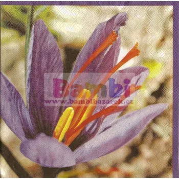 Papírový ubrousek Třívrstvý ubrousek na decoupage - ocún