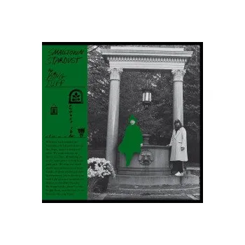 Zahraniční hudba Smalltown Stardust / Vinyl - King Tuff [LP]