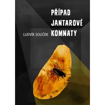 Kniha Případ Jantarové komnaty - Ludvík Souček (E-Kniha)