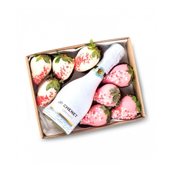 Sušené ovoce Růžové jahody a prosecco Malý (S)