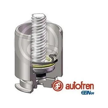 Brzdový třmen Píst, brzdový třmen AUTOFREN SEINSA D025422RK