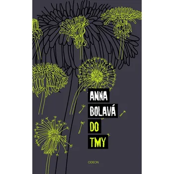 Do tmy - Anna Bolavá (E-Kniha)