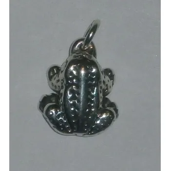 Přívěsek Trojrozměrná žába - stříbrný přívěsek