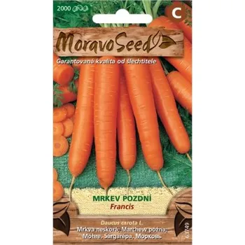 Pěstitelství Mrkev pozdní FRANCIS 63749