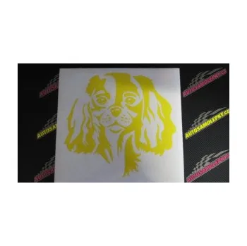 Polep vozidla Pes 132 pravá Cavalier king Charles spaniel (12 - zelená) SAMOLEPKA NA AUTO, NÁLEPKA, FÓLIE, POLEP, TUNING, VLASTNÍ TEXT, TISK, AUTOSAMOLEPKY.cz, POLEPY, OBRÁZEK, LOGO, 3D STICKERS
