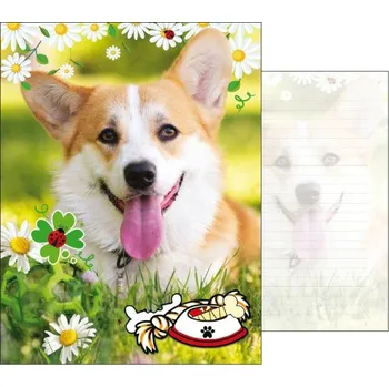 DPPlux 091 - Dopisní papír s potiskem