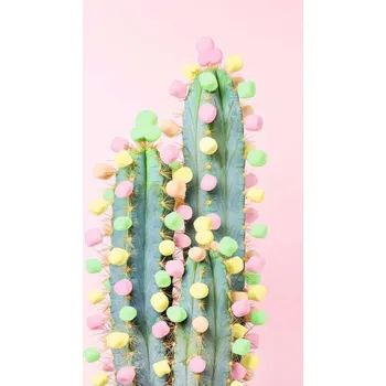 Ravensburger puzzle 173679 Kaktus 200 dílků