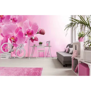 Fototapeta Tapeta Orchidej růžová (vliesová fototapeta)