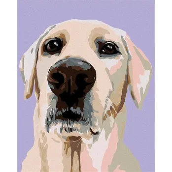 Malování podle čísel - Labradorský retrívr, 40x50 cm, bez rámu a bez vypnutí plátna