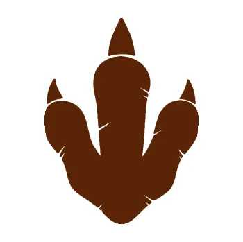 samolepka Dinosaurus stopa 002 (15 - hnědá) SAMOLEPKA NA AUTO, NÁLEPKA, FÓLIE, POLEP, TUNING, VLASTNÍ TEXT, TISK, AUTOSAMOLEPKY.cz, POLEPY, OBRÁZEK, LOGO, 3D STICKERS