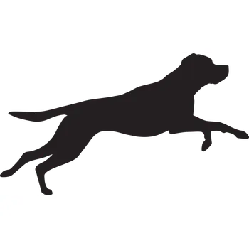 Vsepropejska Labrador 3 dřevěná dekorace na zeď Rozměr (cm): 21 x 38