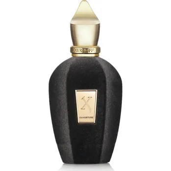 Pánský parfém Xerjoff Xerjoff Ouverture, Parfumovaná voda 100ml - Tester pre všetkych Parfémovaná voda