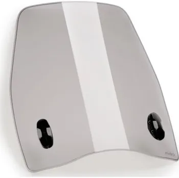 Puig Urban Sym Symphony SR 125 (21-23) Čirá (W)