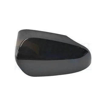 Auto zrcátko Kryt, vnější zrcátko VAN WEZEL 5407844