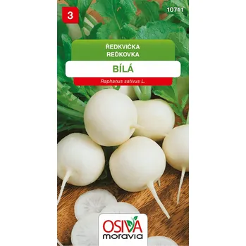 Semeno Osiva Moravia Ředkvička bílá 5 g