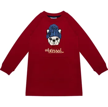 Dívčí šaty Dívčí šaty - WINKIKI WKG 02891, červená Barva: Červená, Velikost: 110