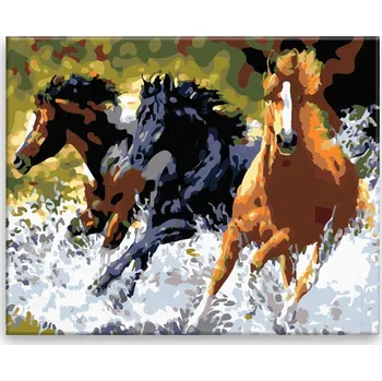 Malování podle čísel - Koně ve vodě - 50x40 cm, bez dřevěného rámu - CZ výroba