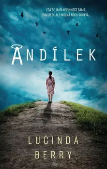 Kniha Andílek - Lucinda Berry (2020) [E-kniha]