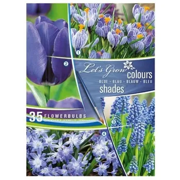 Semeno Florex Modern Colour Mix podzim směs cibulovin modrá 35 ks