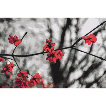 Malování podle čísel - Červené květy na stromě Velikost: 40x60cm, Rámování: Pouze srolované plátno