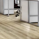 Contesse Click Elit Rigid Wide 25221 Cool Oak gold