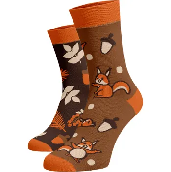 Dámské ponožky Veselé ponožky Veverky Hnědá Bavlna 35-38