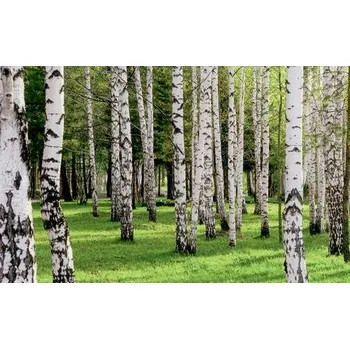 Neschen Solvoprint PP Nolite 210 šíře 91cm x 30m