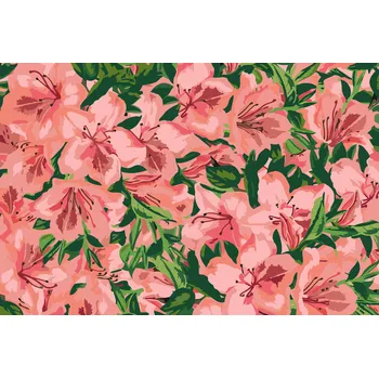 Malování podle čísel - Růžové květy 2 Velikost: 40x60cm, Rámování: Pouze srolované plátno