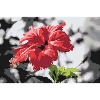 Malování podle čísel - Červený květ v šedivém pozadí Velikost: 40x60cm, Rámování: Pouze srolované plátno