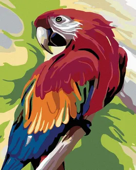 Zuty Malování podle čísel Barevný Papoušek 40 x 50 cm