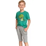 Taro Alan s dinosaurem tmavě zelené