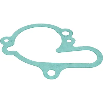 Chlazení pro motocykl OEM Standard Těsnění krytu vodní pumpy, Minarelli AM 42207