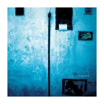 Zahraniční hudba LP Inpalumbia: Still Undone 2016 180g Printed Inner Slevee Vinyl