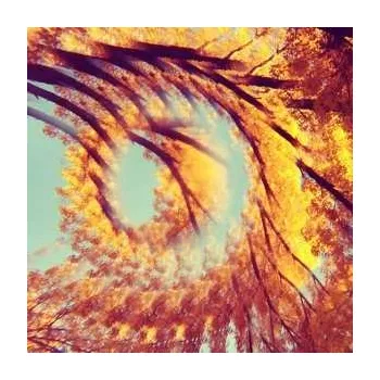 Zahraniční hudba LP A Hawk And A Hacksaw: Forest Bathing 2018