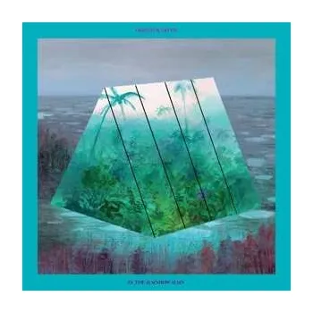 Zahraniční hudba 2LP Okkervil River: In The Rainbow Rain 2018