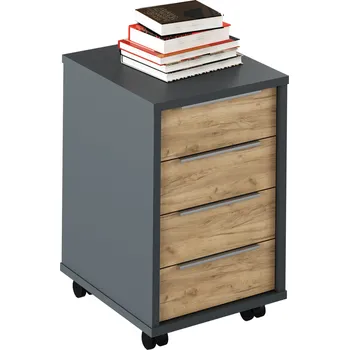 Komoda Kontejner RIOMA NEW TYP 14, grafit/dub artisan, 4 šuplíky, 43x48x66,7 cm