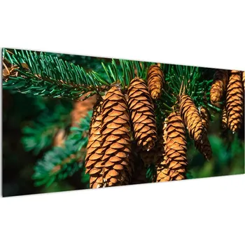 Obraz LuxusniObrazy.cz Obraz šišek