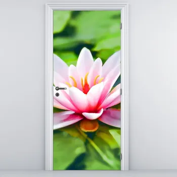 Fototapeta LuxusniObrazy.cz Fototapeta na dveře - Leknín na hladině