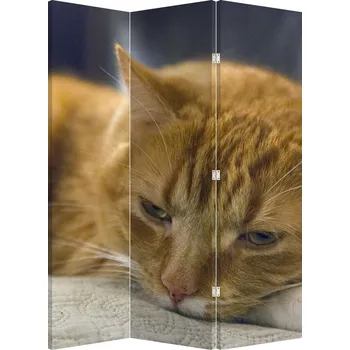 Paraván LuxusniObrazy.cz Paraván - Kočka