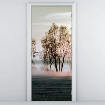 Fototapeta LuxusniObrazy.cz Fototapeta na dveře - Ranní sychravost