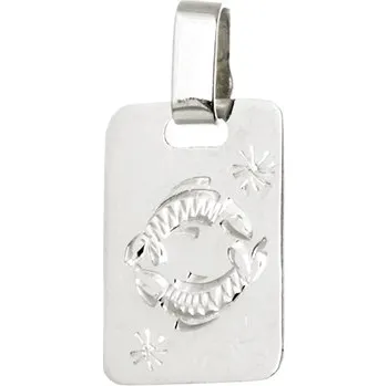 Přívěsek Přívěšek znamení Ryby z bílého zlata ZZ0805RYBMBF + dárek zdarma