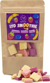 Sušené ovoce Natu Lyo Smoothie mix 20 g